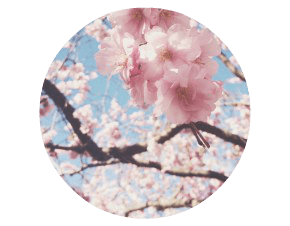 tumblr_n4qv6ivaaf1slhhf0o1_1280-e1416200387508-2