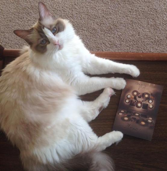 13438989_10209438407894582_2284076221145257179_n