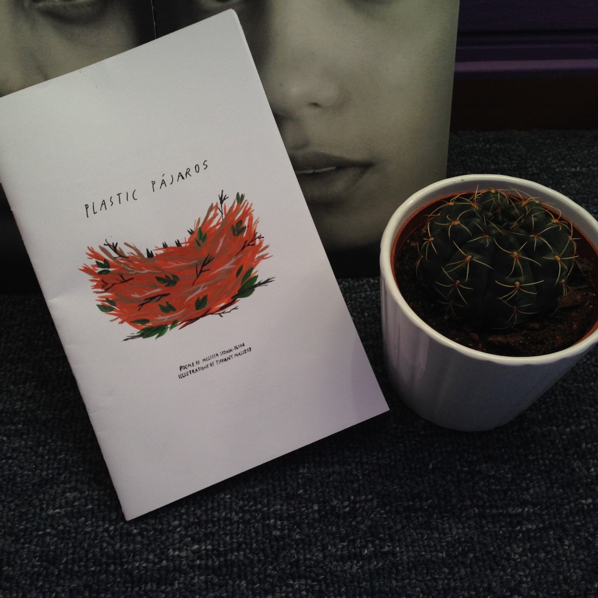 plastic-pajaros-image-1