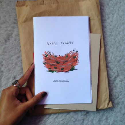 plastic-pajaros-image-3